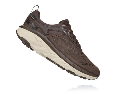 Hoka One One Challenger Low GORE-TEX - Adidasi Alergare Barbati Cafe | RO-G42W4KE